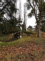 Petit pont
